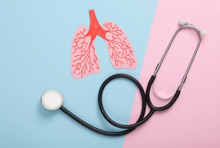 Cara Menjaga Kesehatan Organ Pernapasan Anda Terbaru di 2024