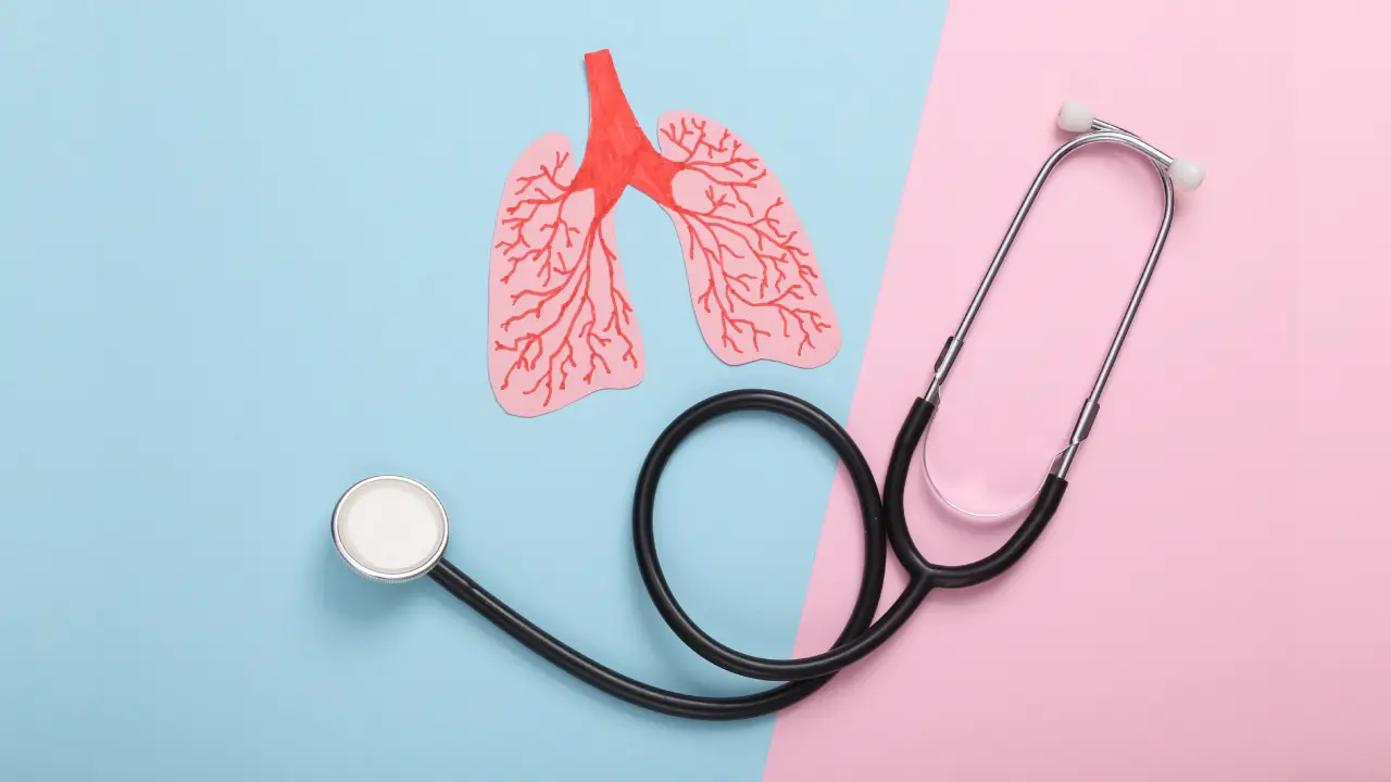 Cara Menjaga Kesehatan Organ Pernapasan Anda Terbaru di 2024